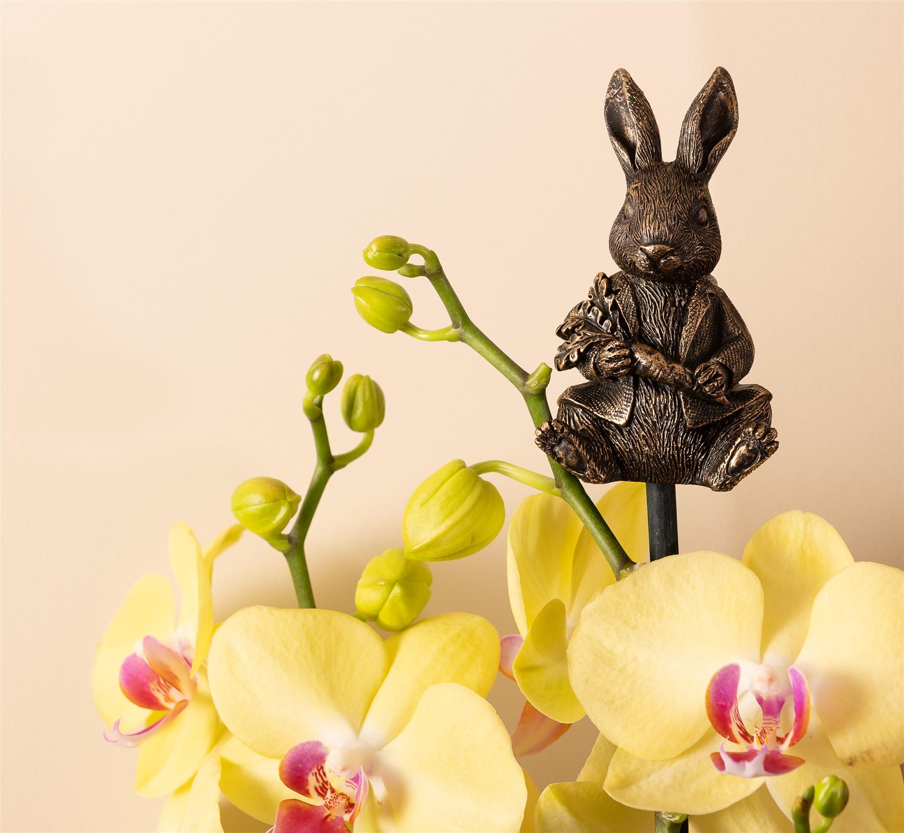 Cane Companions Beatrix Potter Mr Tod – Ornamento Da Giardino, Topper Per Pali E Canne, Resistente Al Gelo E Ai Raggi UV, Dipinto A Mano, In Confezione Regalo