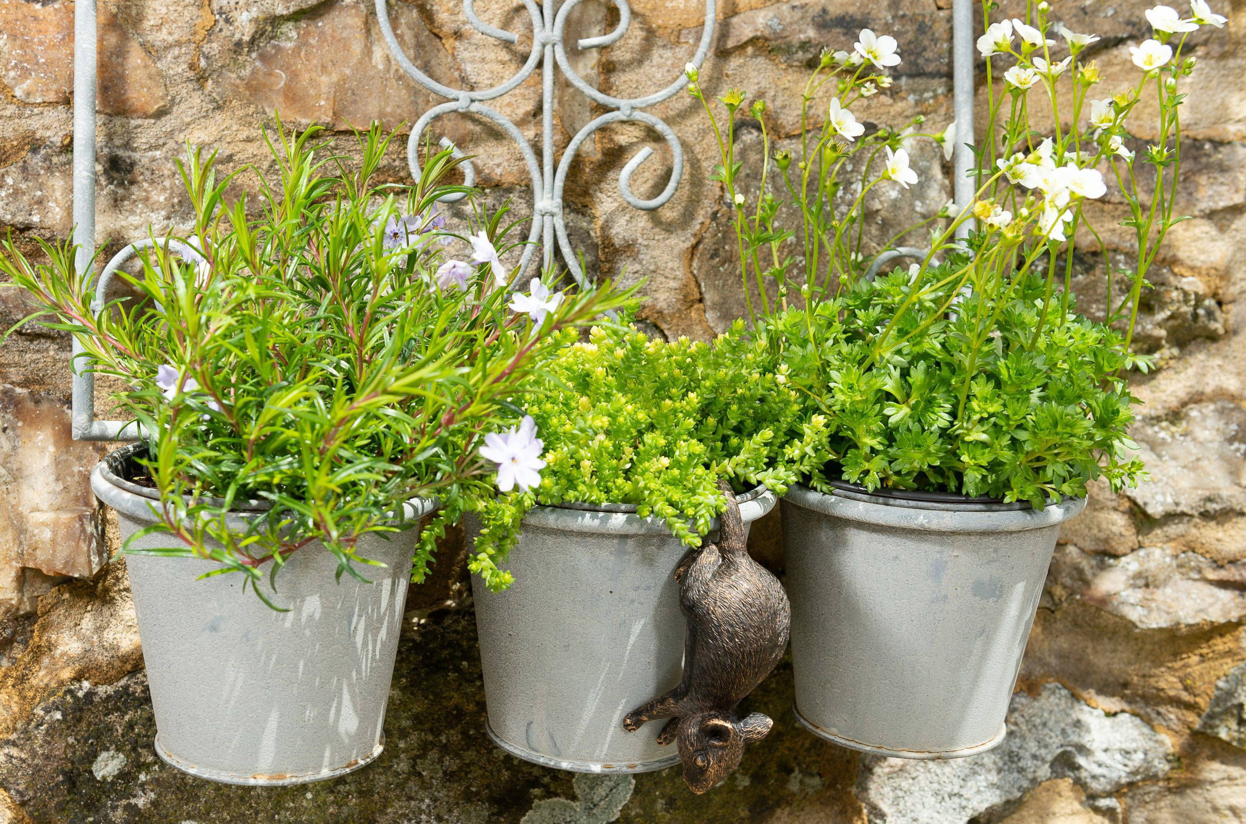 Potty Feet Set Piedini Per Vasi + Pot Buddy Lumaca – Decorazione Da Giardino In Resina, Resistente Al Gelo