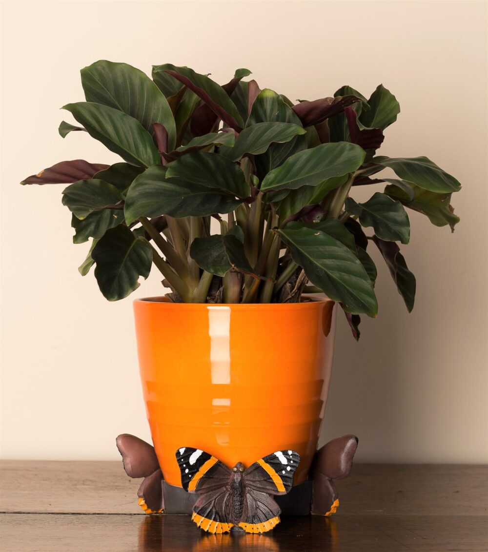 Red Admiral Butterfly Plant Pot Feet - Set of 3 - Image 2