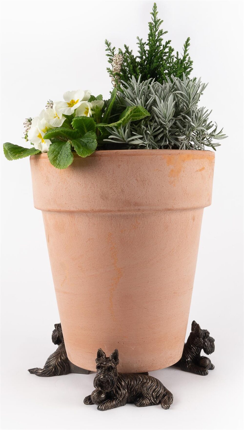 Scottish Terrier Plant Pot Feet - Set of 3 - Image 6
