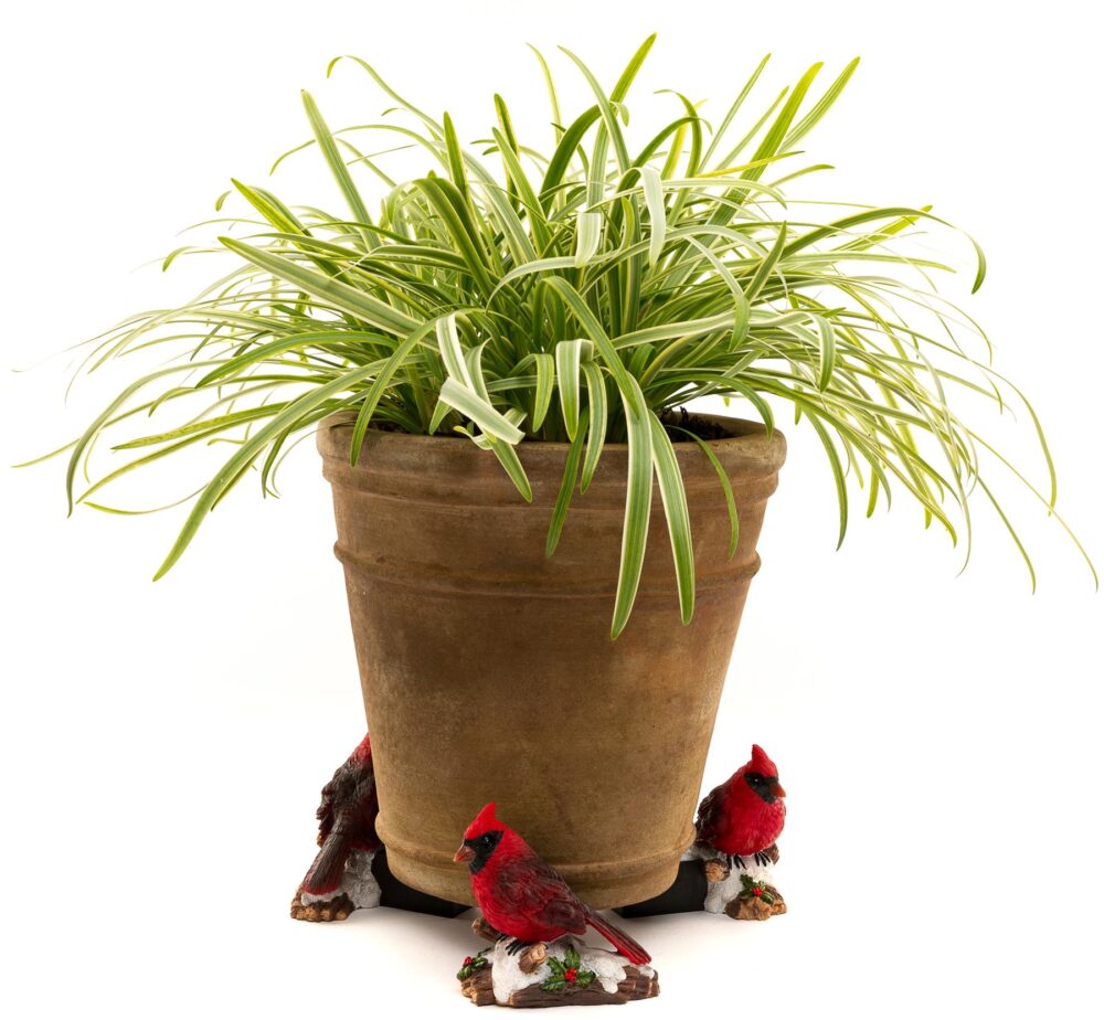 Red Cardinal Bird Plant Pot Feet - Set of 3 - Image 5