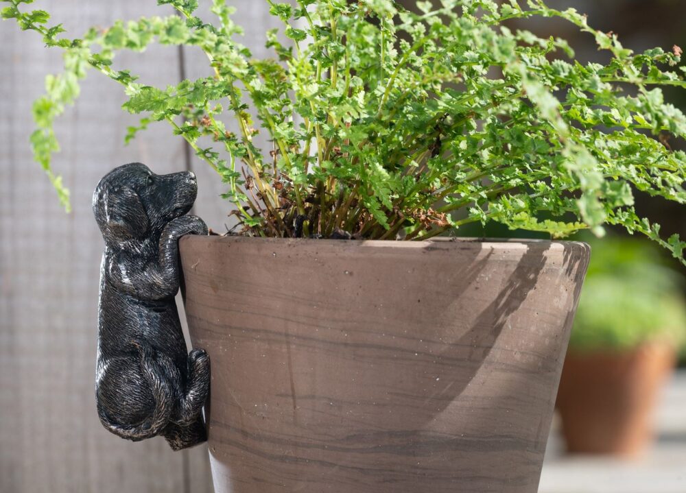 Labrador Plant Pot Hanger - Image 4