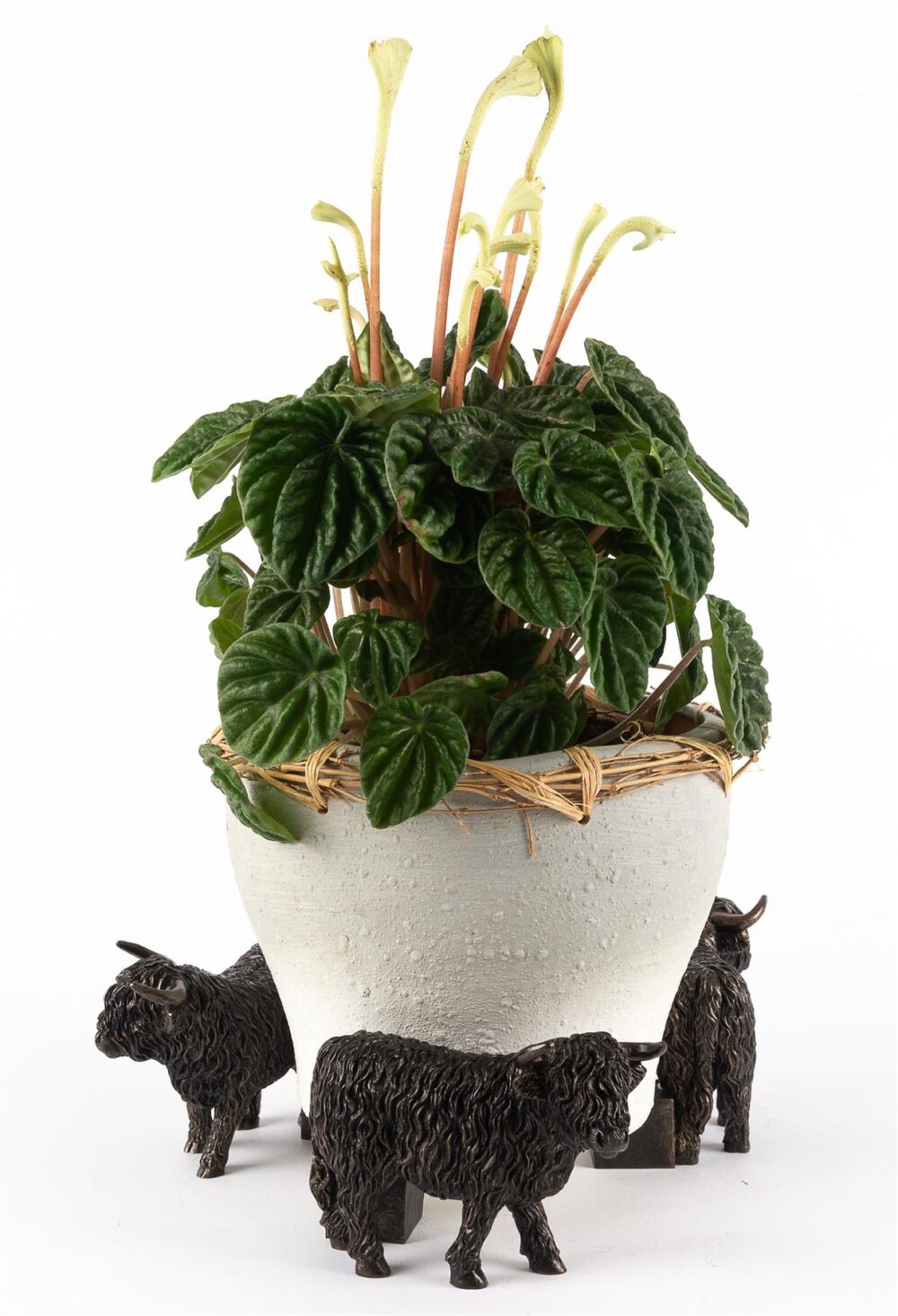 Highland Cow Plant Pot Feet - Set of 3