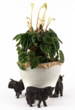 Highland Cow Plant Pot Feet - Set of 3