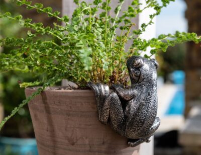 Frog Plant Pot Hanger