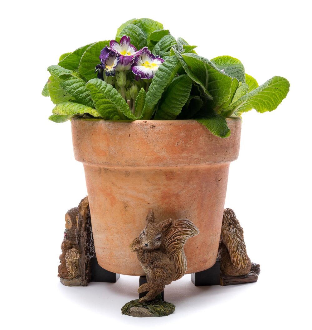 Beatrix Potter Squirrel Nutkin and Old Brown Plant Pot Feet - Set of 3 - Image 5