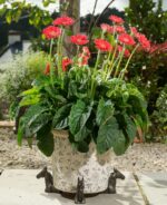 Horse Plant Pot Feet - Set of 3