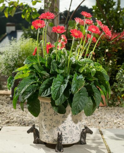 Horse Plant Pot Feet - Set of 3