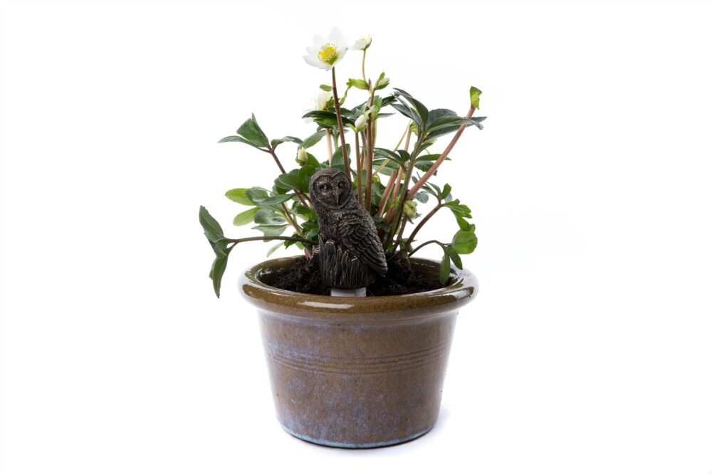 Barn Owl Plant Drip Feeder Cover & Feed - Image 3
