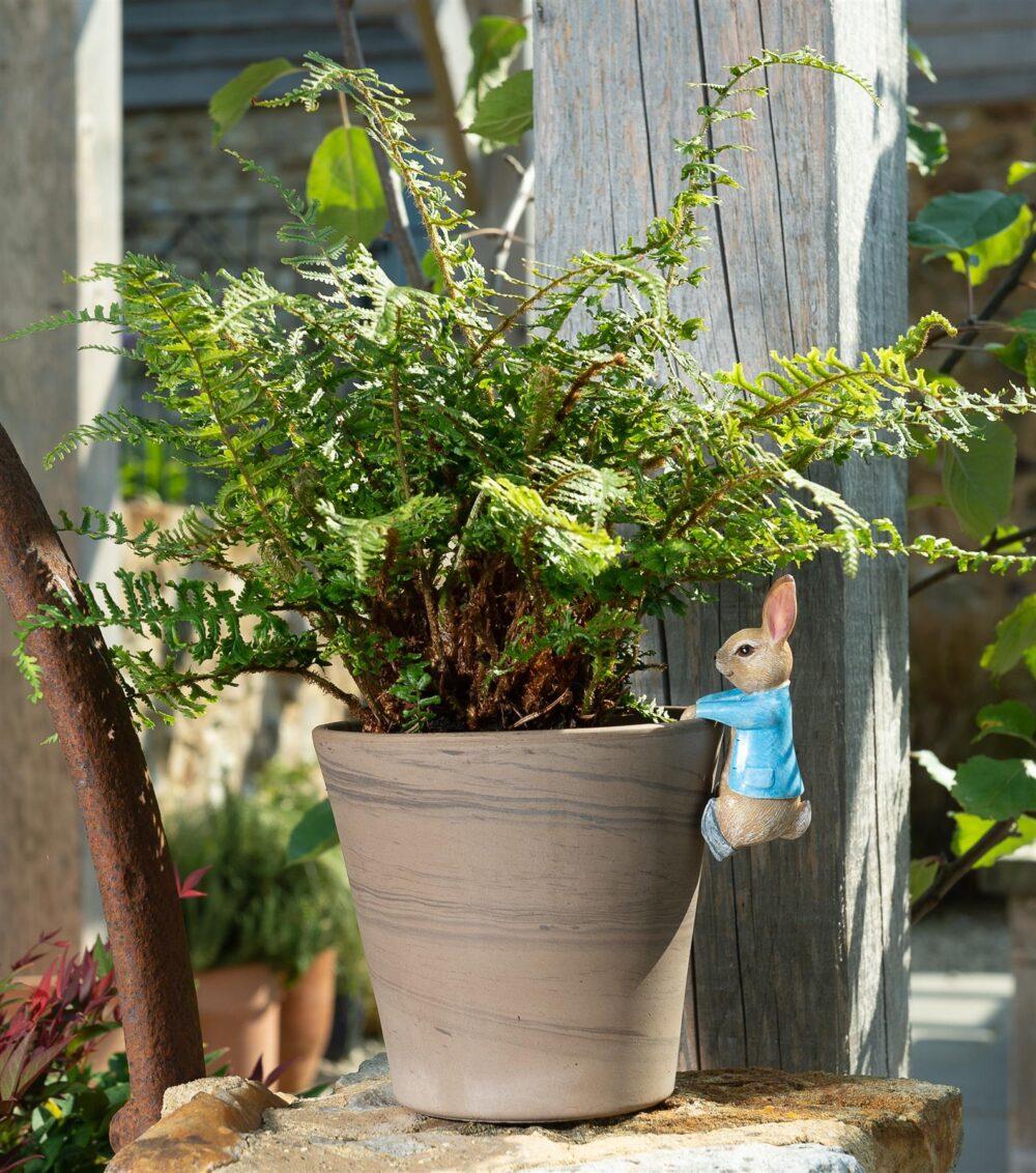 Beatrix Potter Peter Rabbit Hanging Plant Pot Hanger - Image 2