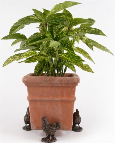 Buff Orpington Chicken Plant Pot Feet - Set of 3
