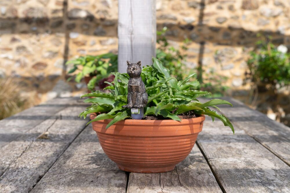 Cat Plant Drip Feeder Cover & Feed