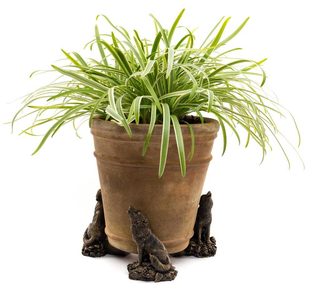 Howling Wolf Plant Pot Feet - Set of 3 - Image 5