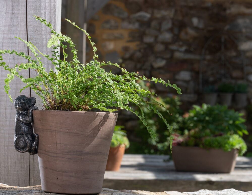 Labrador Plant Pot Hanger - Image 5