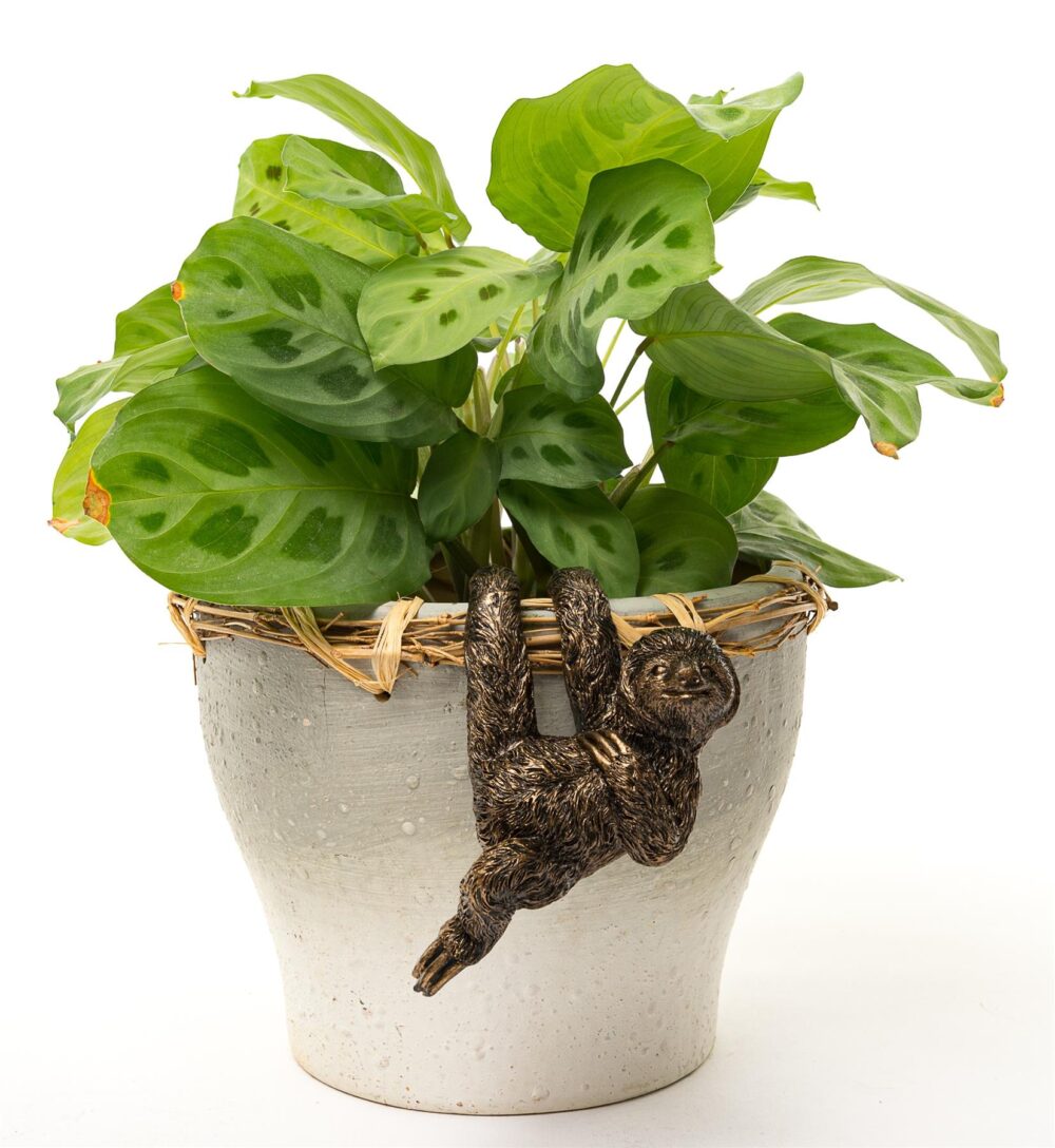 Three Toed Sloth Plant Pot Hanger - Image 9