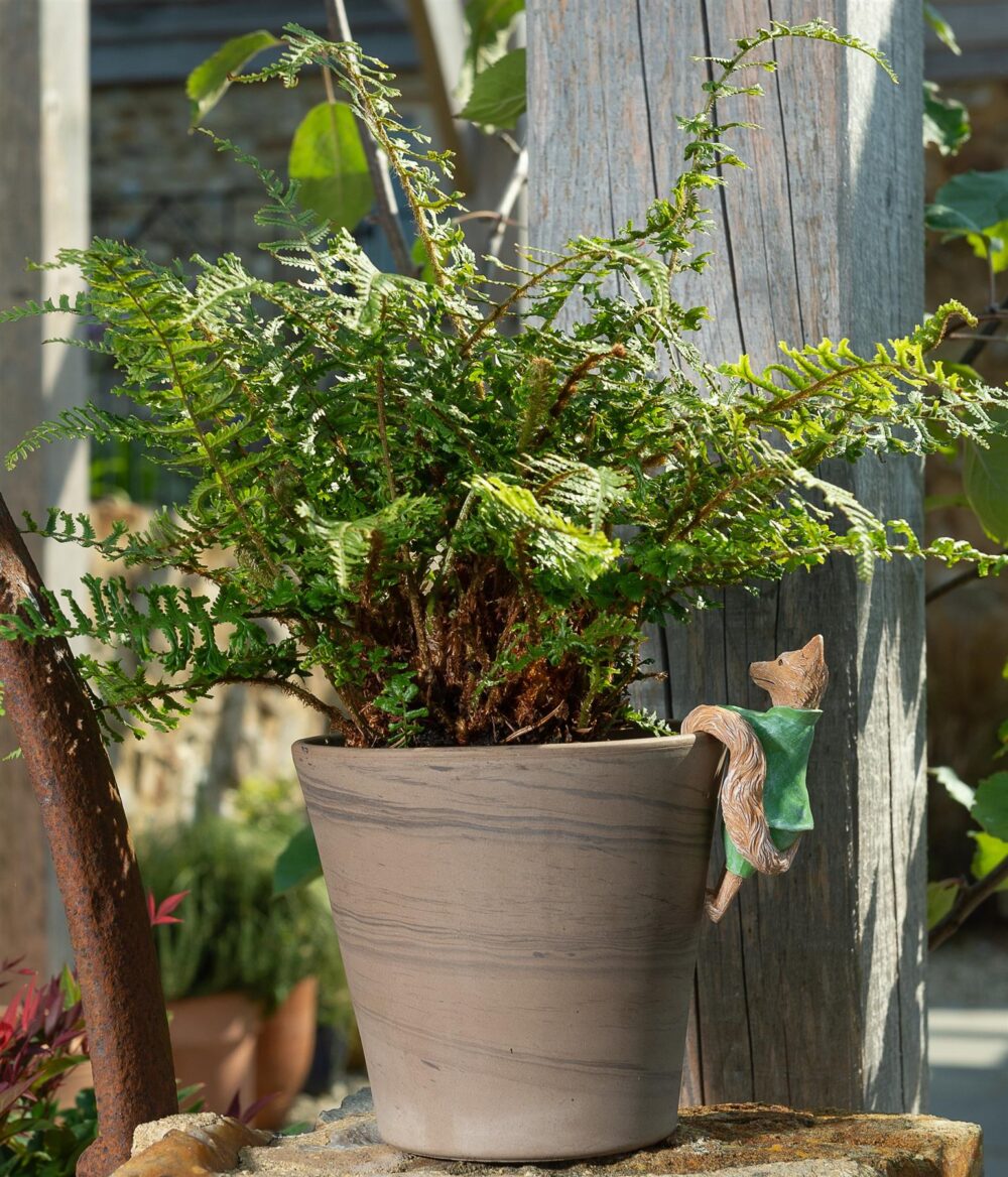 Beatrix Potter Mr. Tod Plant Pot Hanger - Image 2