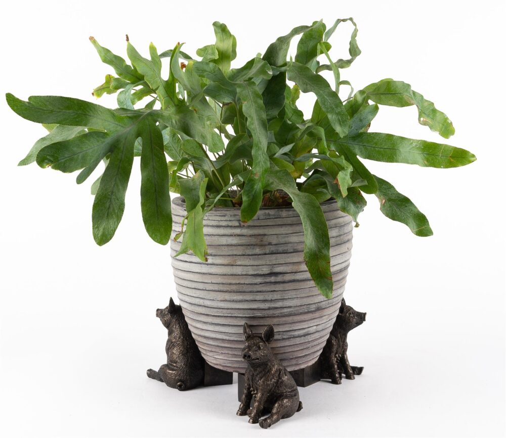 Pig Plant Pot Feet - Set of 3 - Image 3