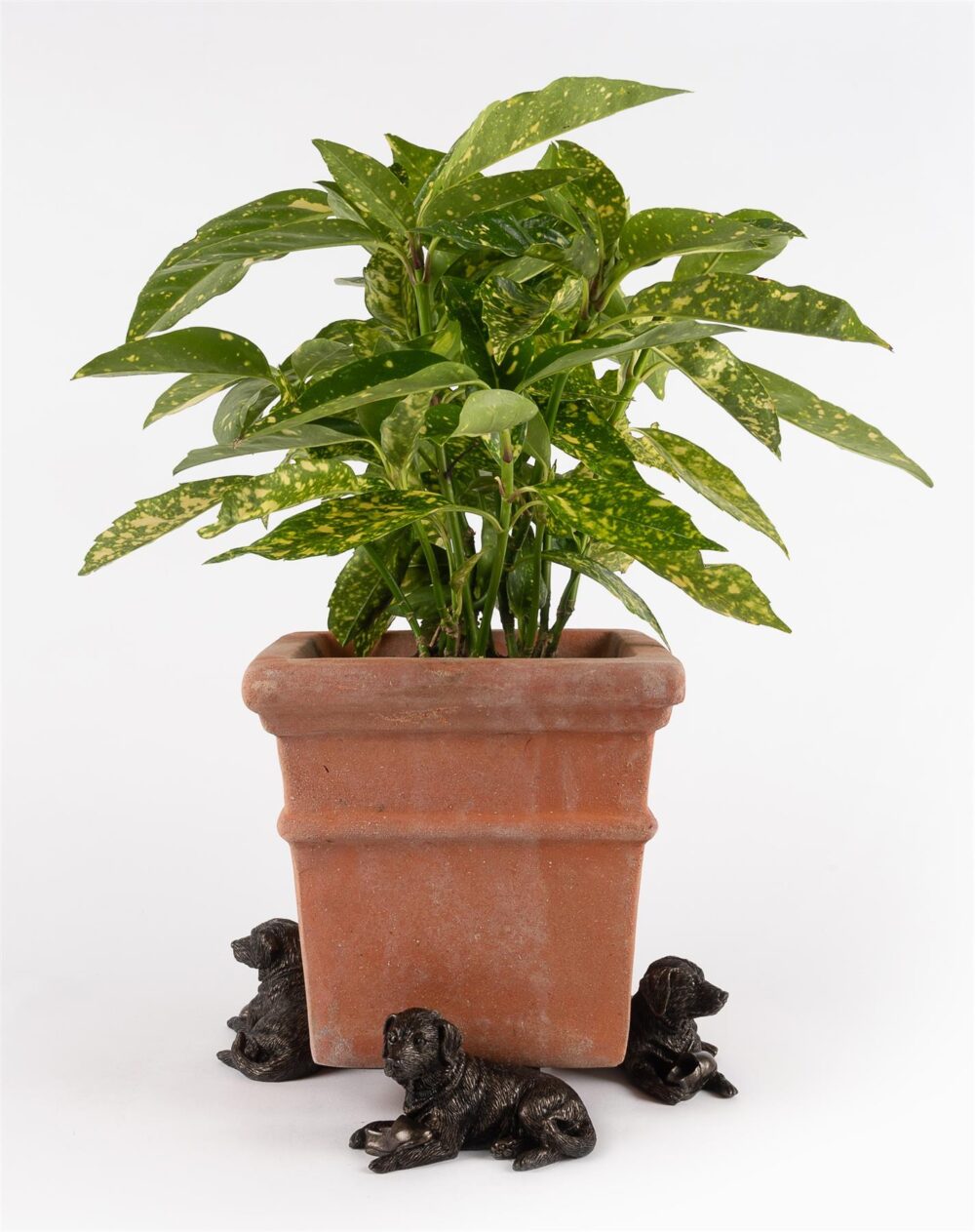 Resting Labrador Plant Pot Feet - Set of 3 - Image 5