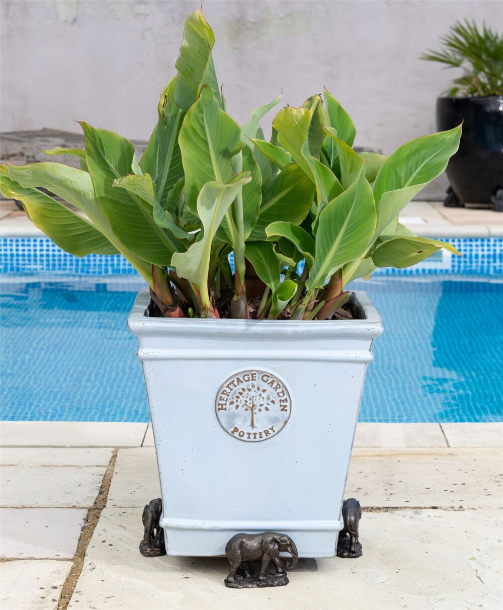 Elephant Plant Pot Feet - Set of 3 - Image 5