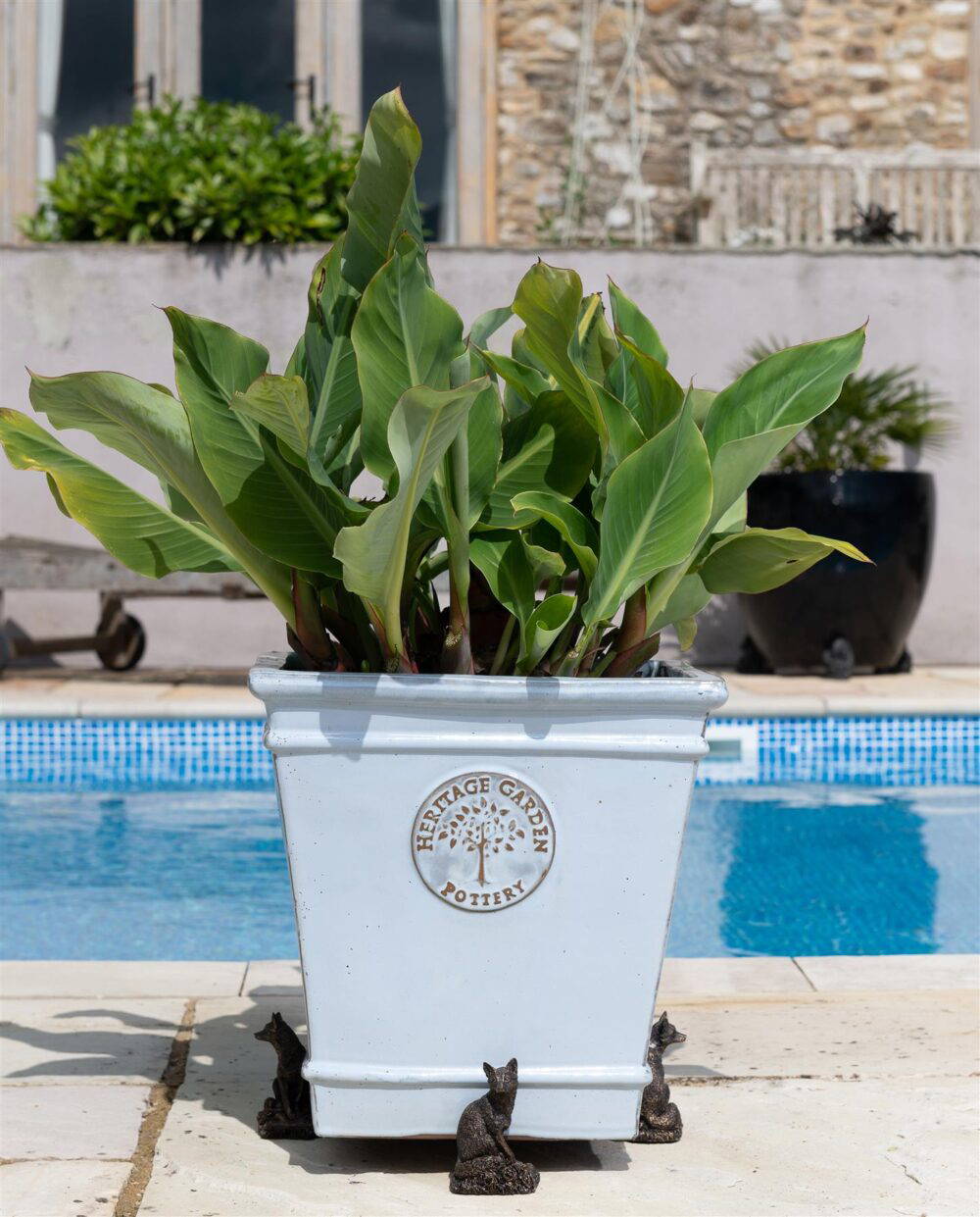 Fox Plant Pot Feet - Set of 3 - Image 5