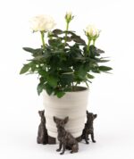 Chihuahua Plant Pot Feet - Set of 3