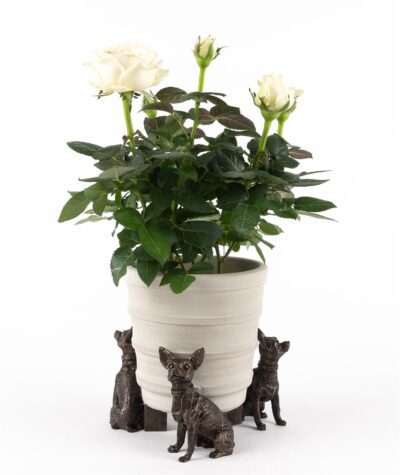 Chihuahua Plant Pot Feet - Set of 3