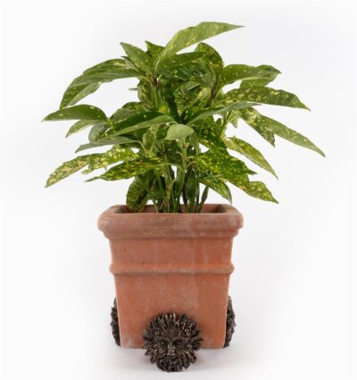 Green Man  Plant Pot Feet - Set of 3