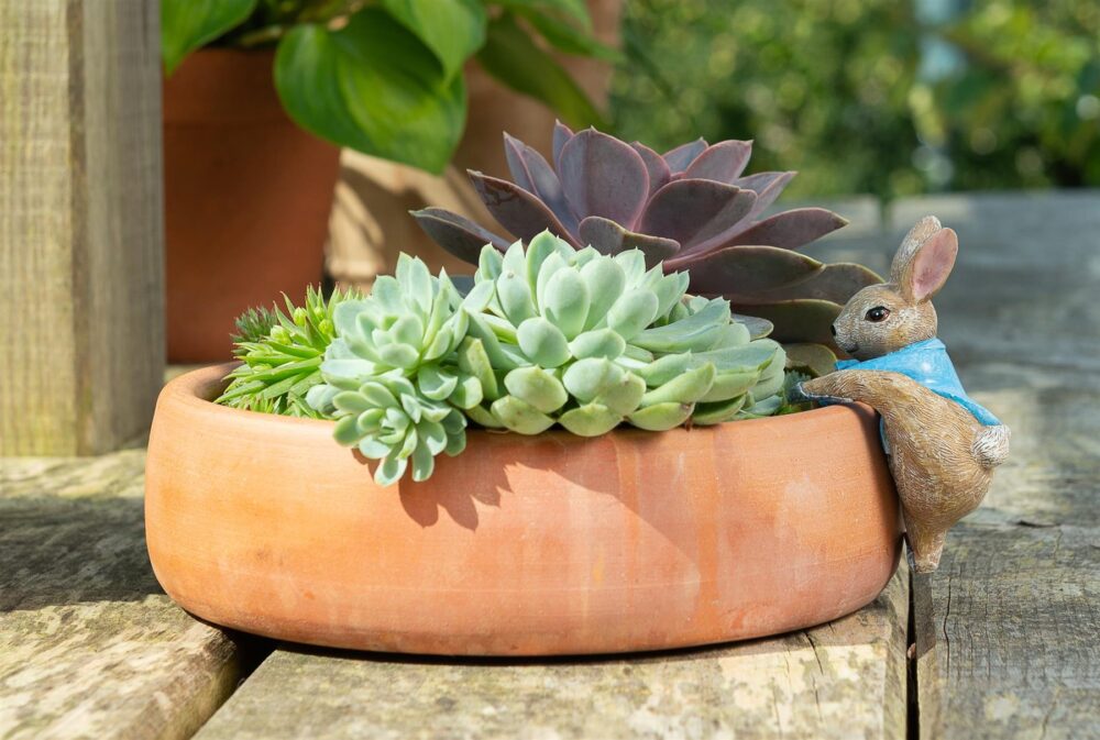 Beatrix Potter Peter Rabbit Climbing Plant Pot Hanger - Image 2