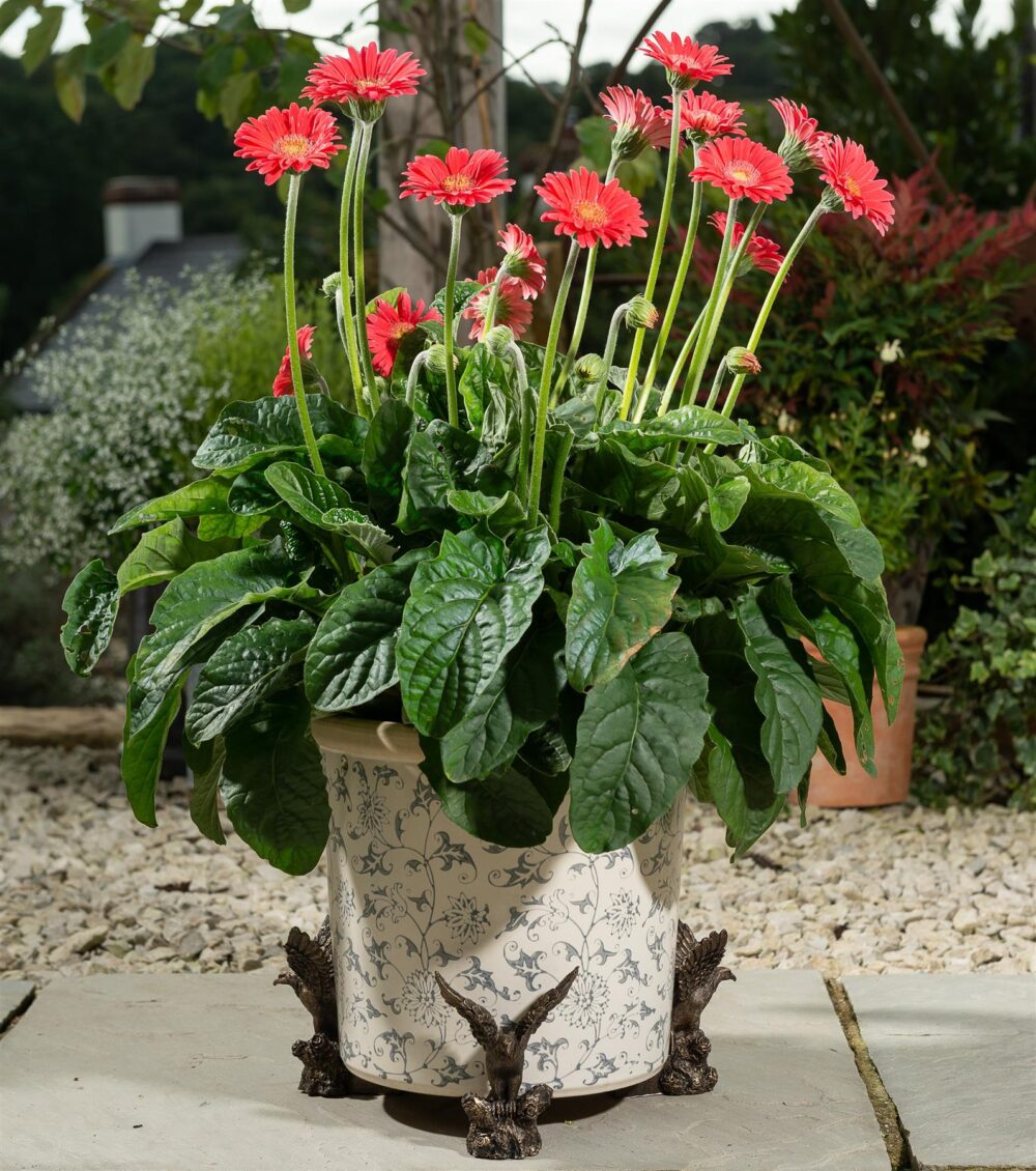American Bald Eagle Plant Pot Feet - Set of 3