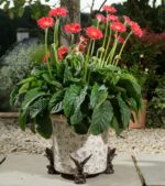 American Bald Eagle Plant Pot Feet - Set of 3
