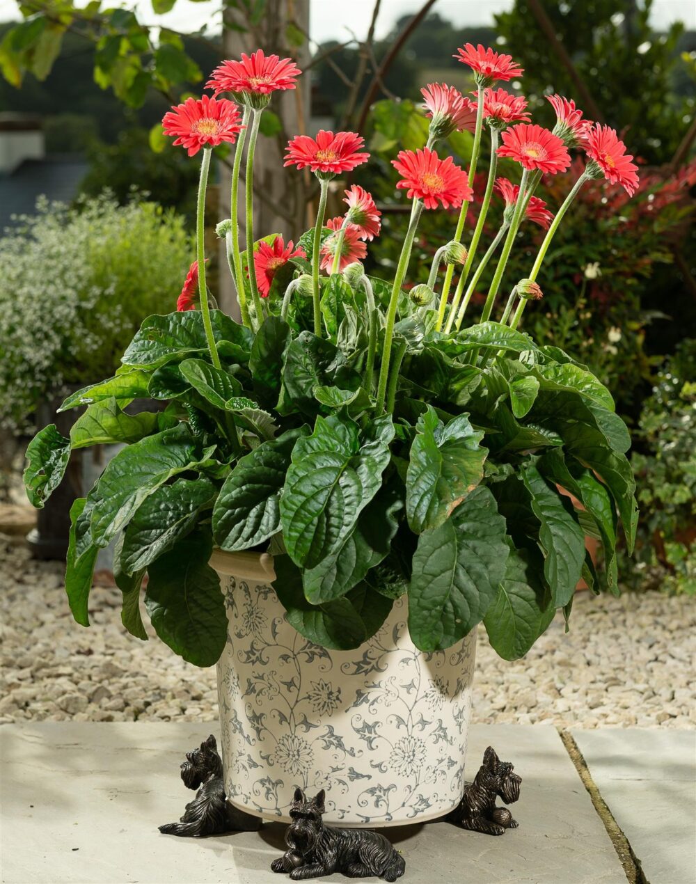 Scottish Terrier Plant Pot Feet - Set of 3 - Image 3