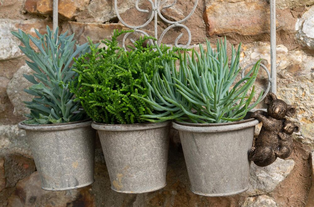 Koala and Cub Plant Pot Hanger - Image 5