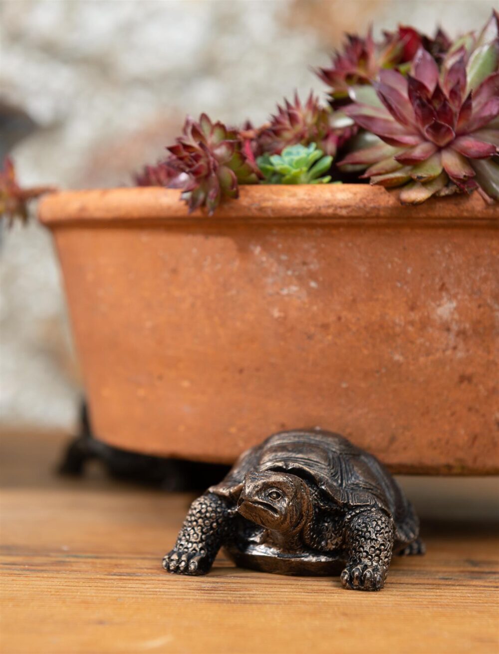 Tortoise Plant Pot Feet - Set of 3 - Image 8
