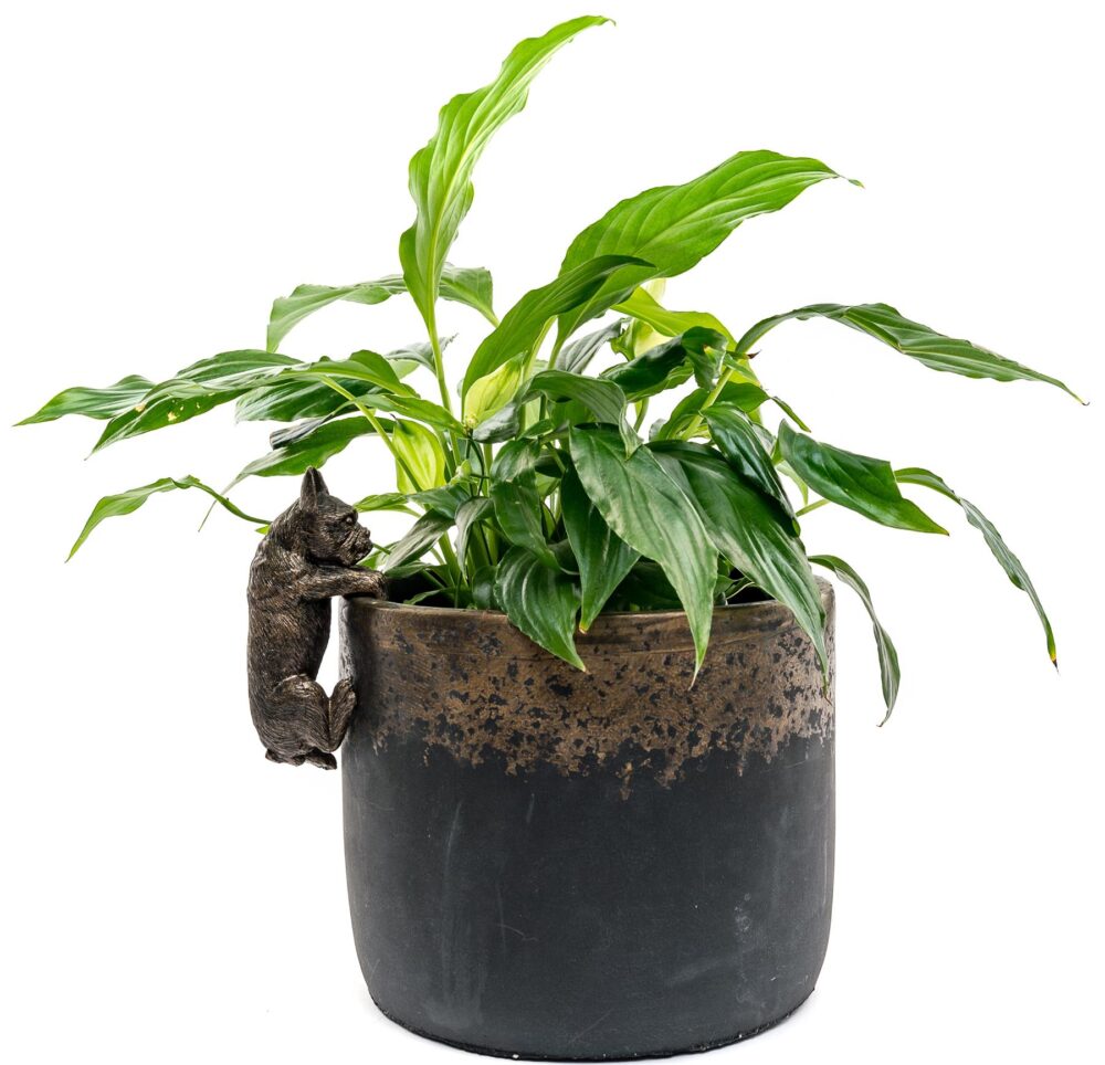 French Bulldog Plant Pot Hanger - Image 4
