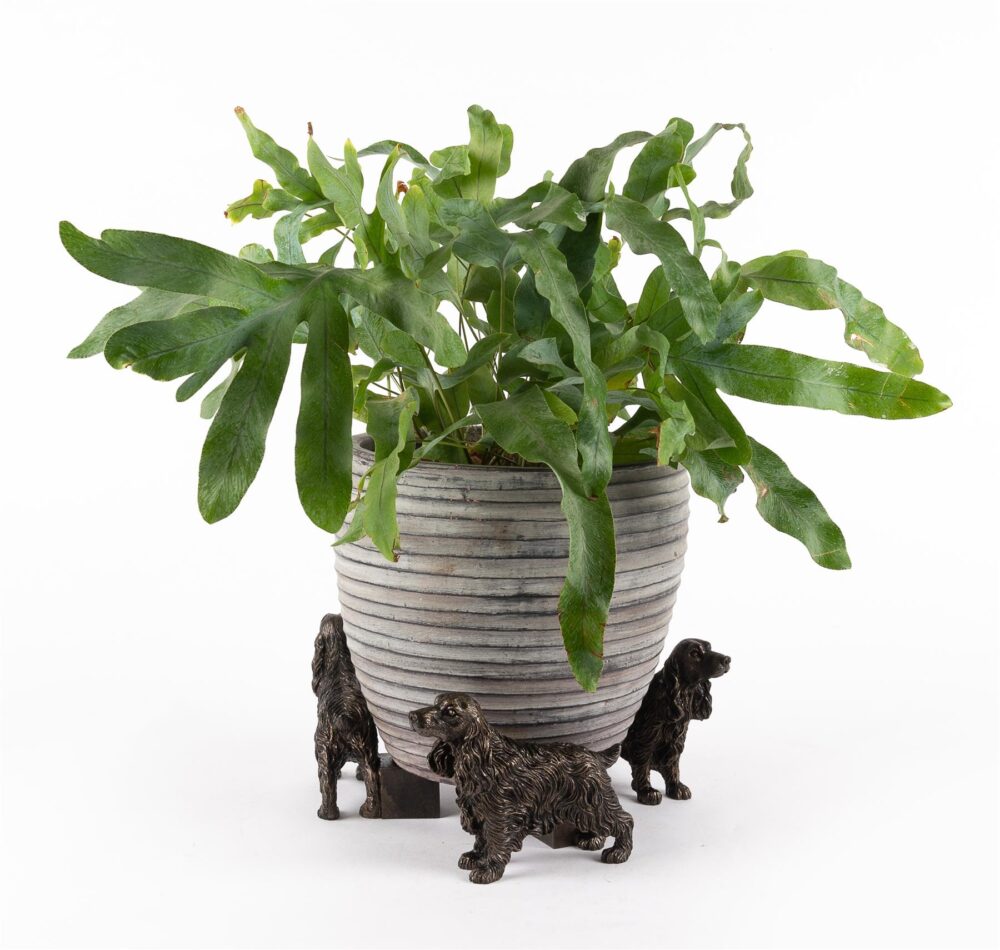 Cocker Spaniel Plant Pot Feet - Set of 3 - Image 3