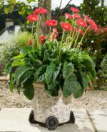 Daisy Plant Pot Feet - Set of 3