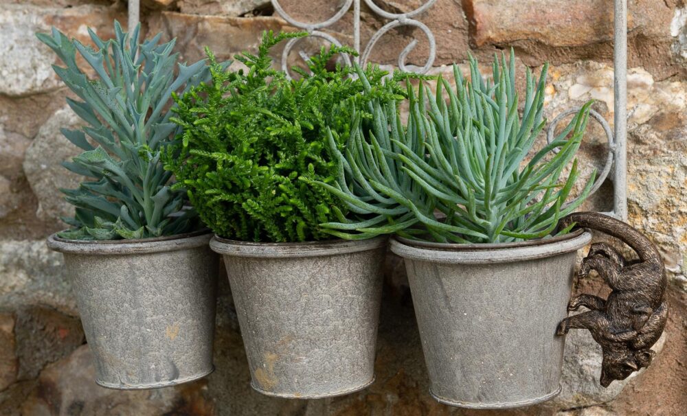 Lemur and Pup Plant Pot Hanger - Image 8