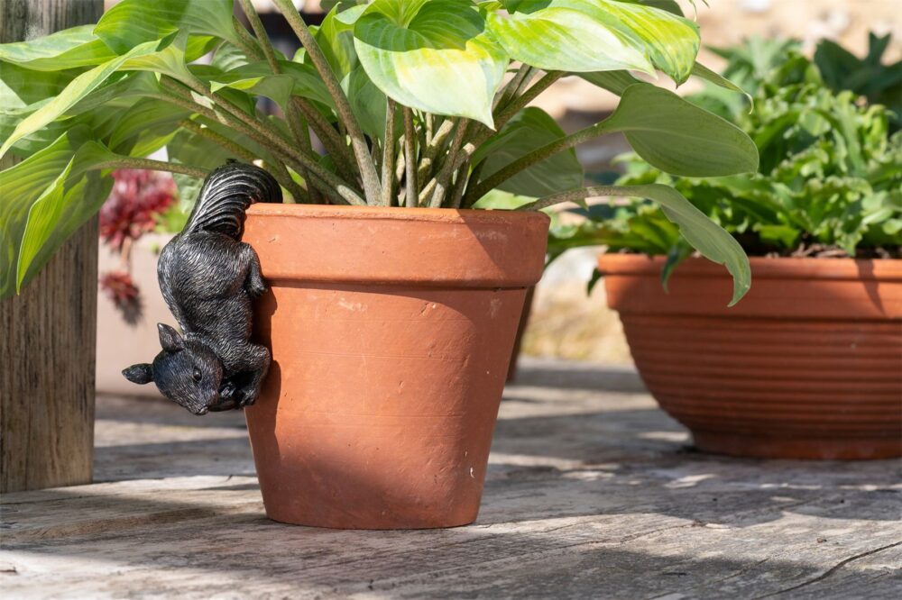 Red Squirrel Plant Pot Hanger - Image 12
