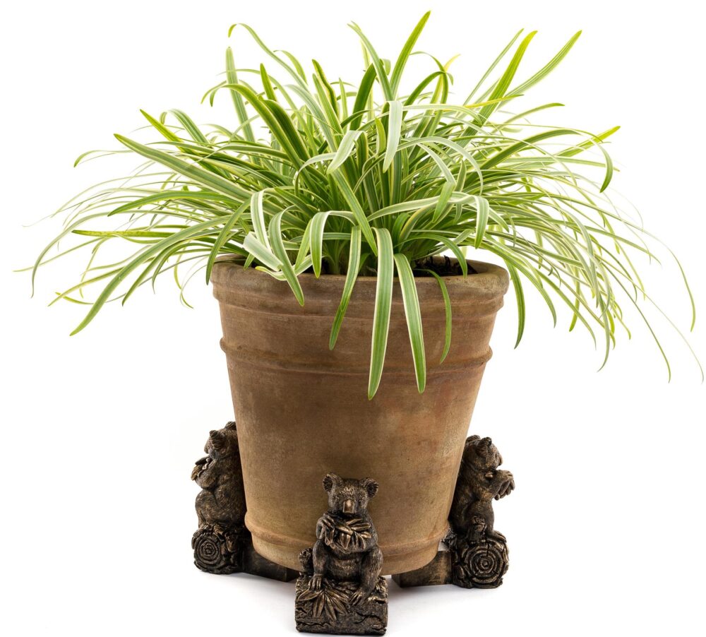Koala Bear Plant Pot Feet - Set of 3