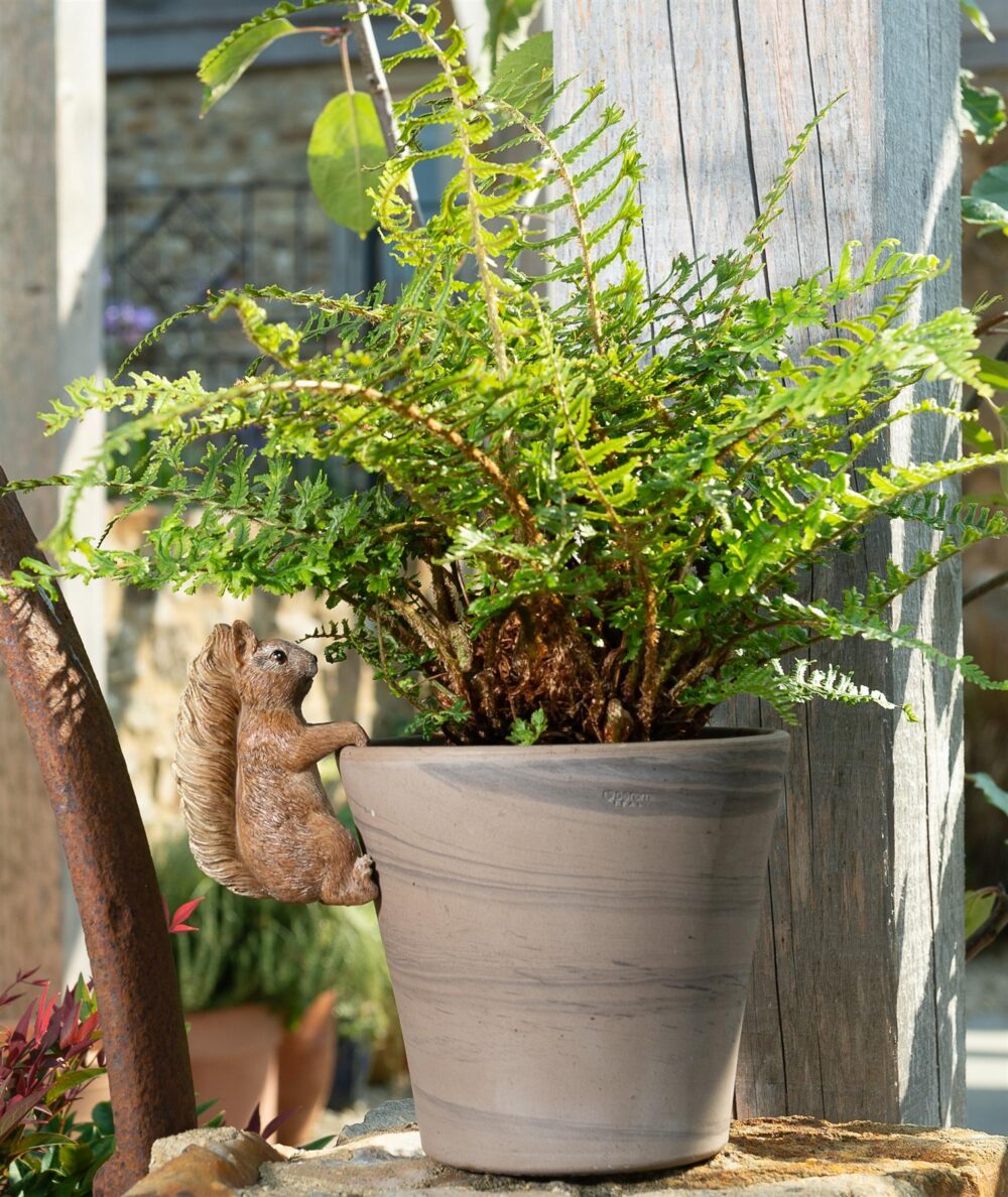 Beatrix Potter Squirrel Nutkin Plant Pot Hanger - Image 4