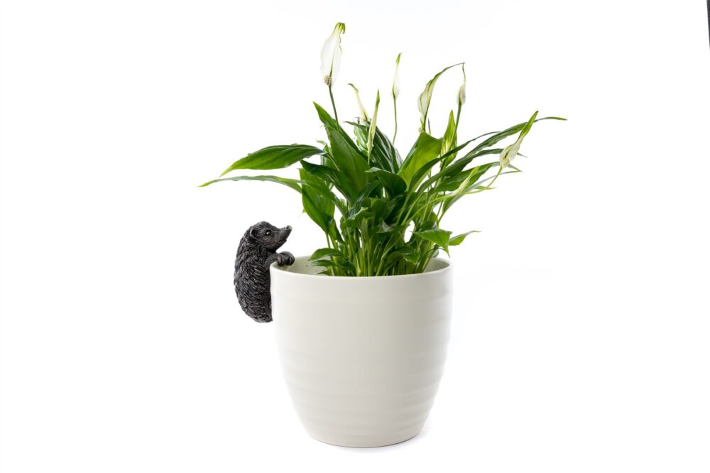Hedgehog Plant Pot Hanger - Image 5