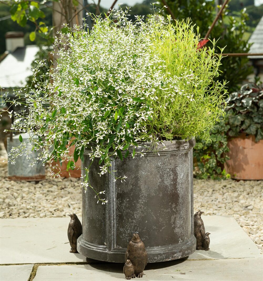 Emperor Penguin Plant Pot Feet - Set of 3 - Image 3