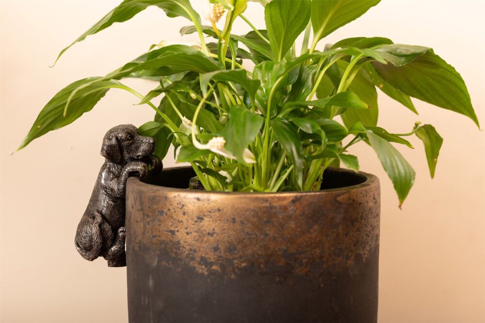 Labrador Plant Pot Hanger - Image 2
