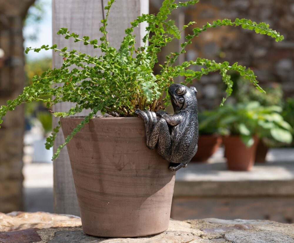 Frog Plant Pot Hanger - Image 4