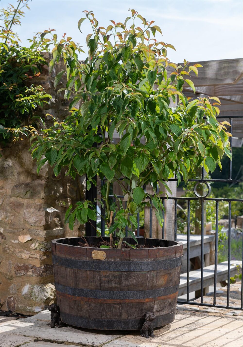 Cockapoo Plant Pot Feet - Set of 3 - Image 7