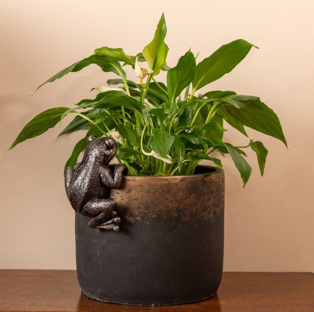 Frog Plant Pot Hanger - Image 3
