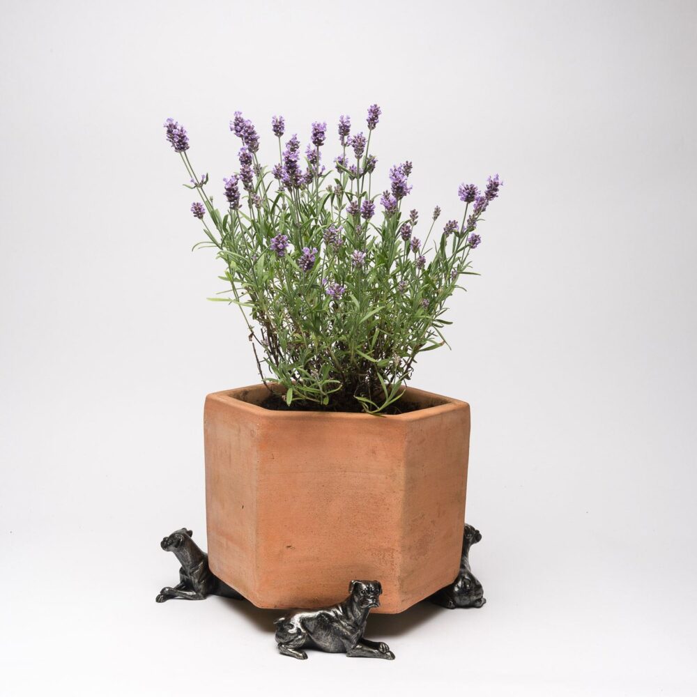 Boxer Dog Plant Pot Feet - Set of 3 - Image 8