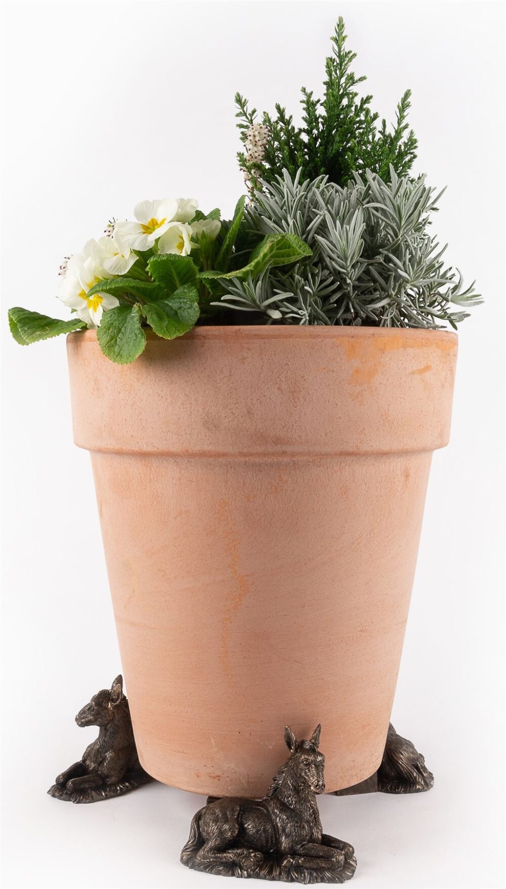 Donkey Foal Plant Pot Feet - Set of 3 - Image 3