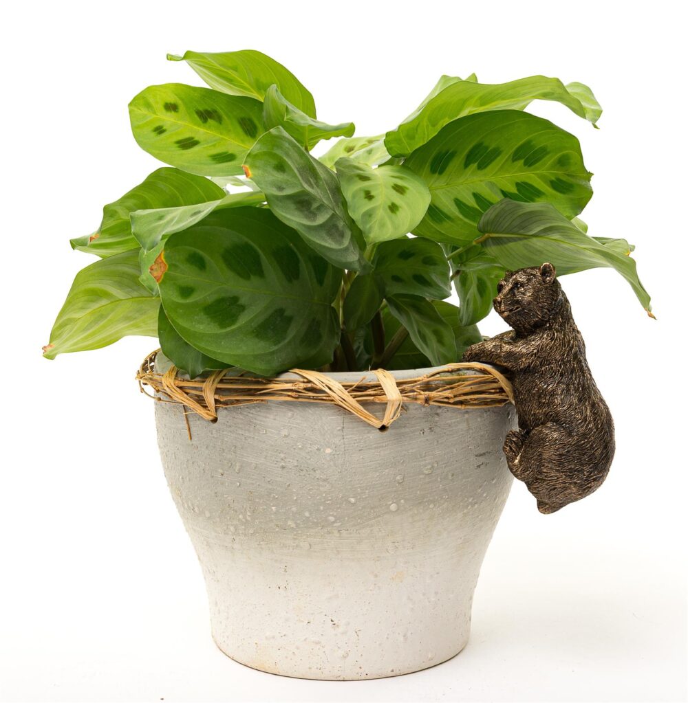 Brown Bear Plant Pot Hanger - Image 6