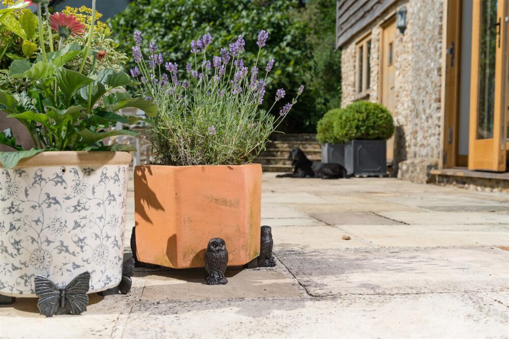 Tawny Owl Plant Pot Feet - Set of 3 - Image 3